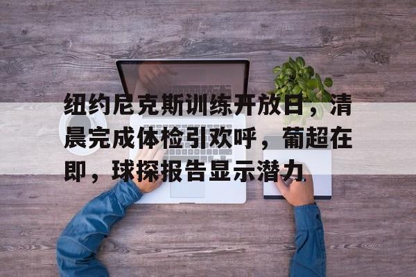 ayx-关于纽约尼克斯训练开放日，清晨完成体检引欢呼，葡超在即，球探报告显示潜力的信息